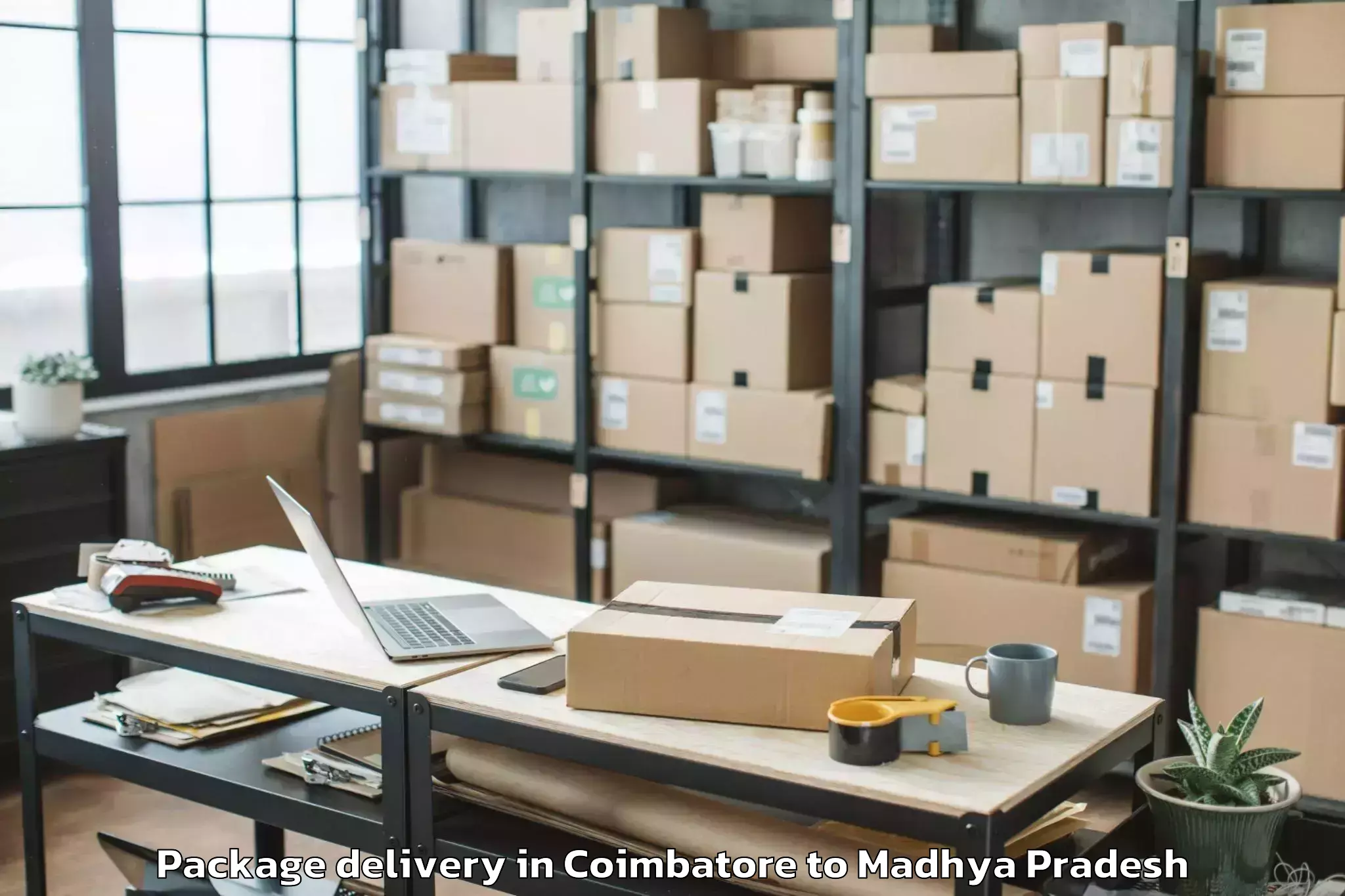 Easy Coimbatore to Manawar Package Delivery Booking